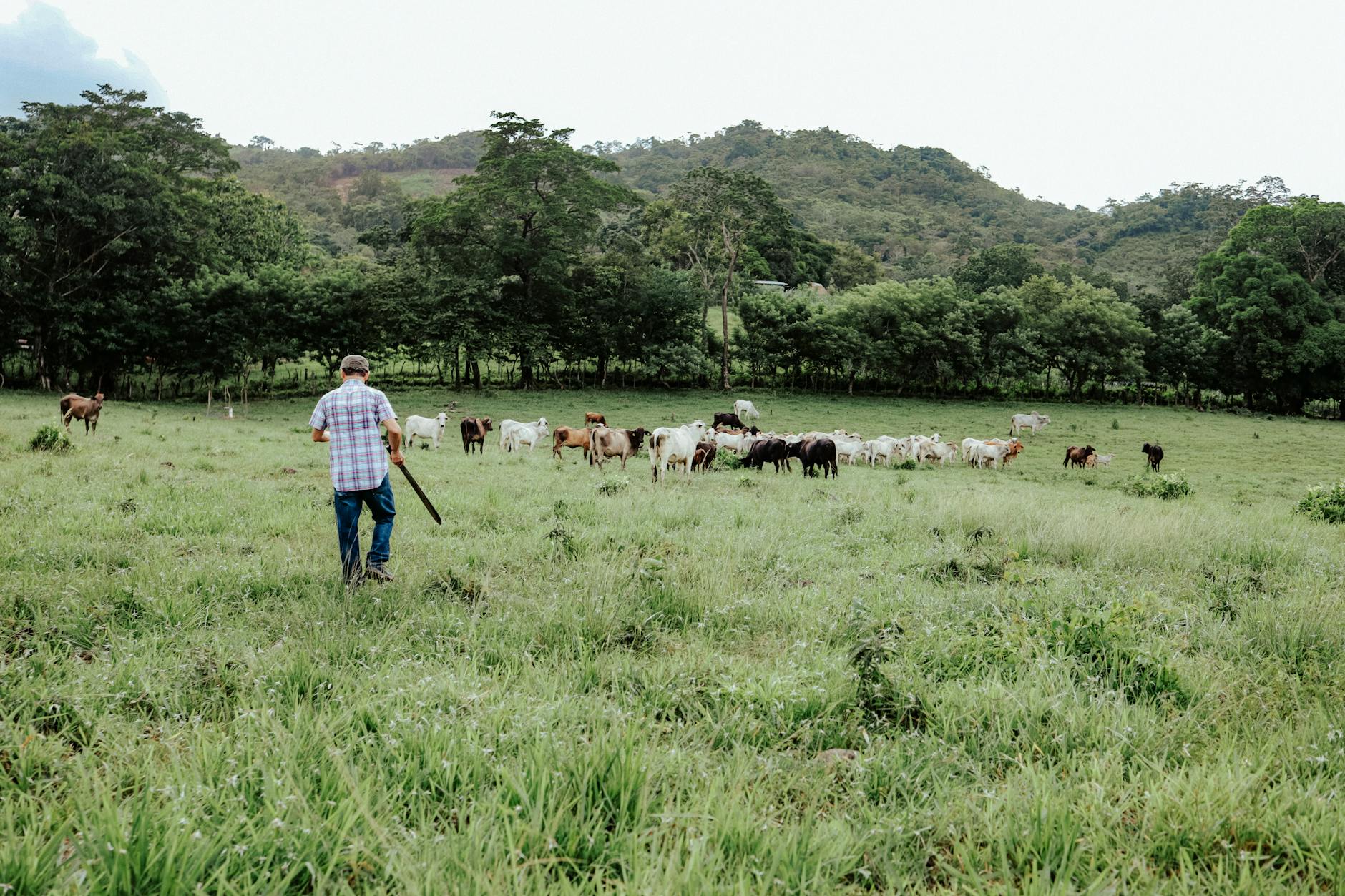 We champion biodiversity, next on the agenda: Neurodiversity.